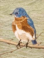 Bluebird 2 - click to view larger image...