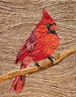 Cardinal - click to view larger image...