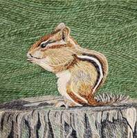 Chipmunk - click to view larger image...