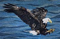 Eagle - click to view larger image...