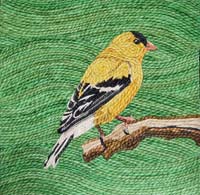 Goldfinch - click to view larger image...