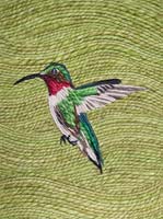 Hummingbird - click to view larger image...