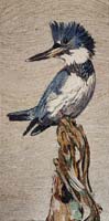 Kingfisher - click to view larger image...