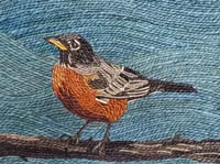 Robin - click to view larger image...