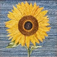 Sunflower 1 - click to view larger image...