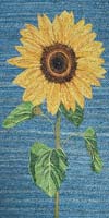 Sunflower 3 - click to view larger image...