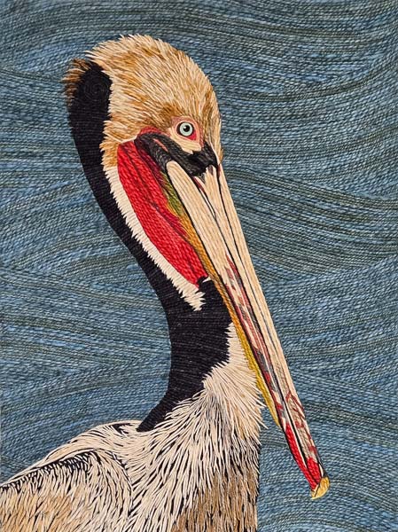 Pelican