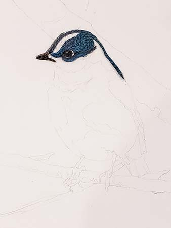 RopeArt work in progress, Bluebird, by Amy Wagner